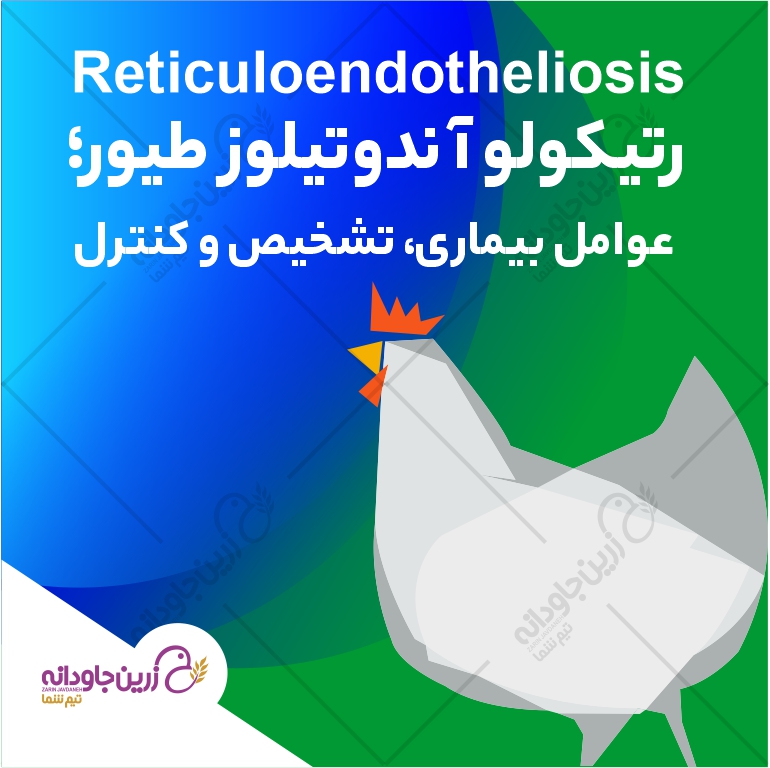 رتیکولوآندتیلوز