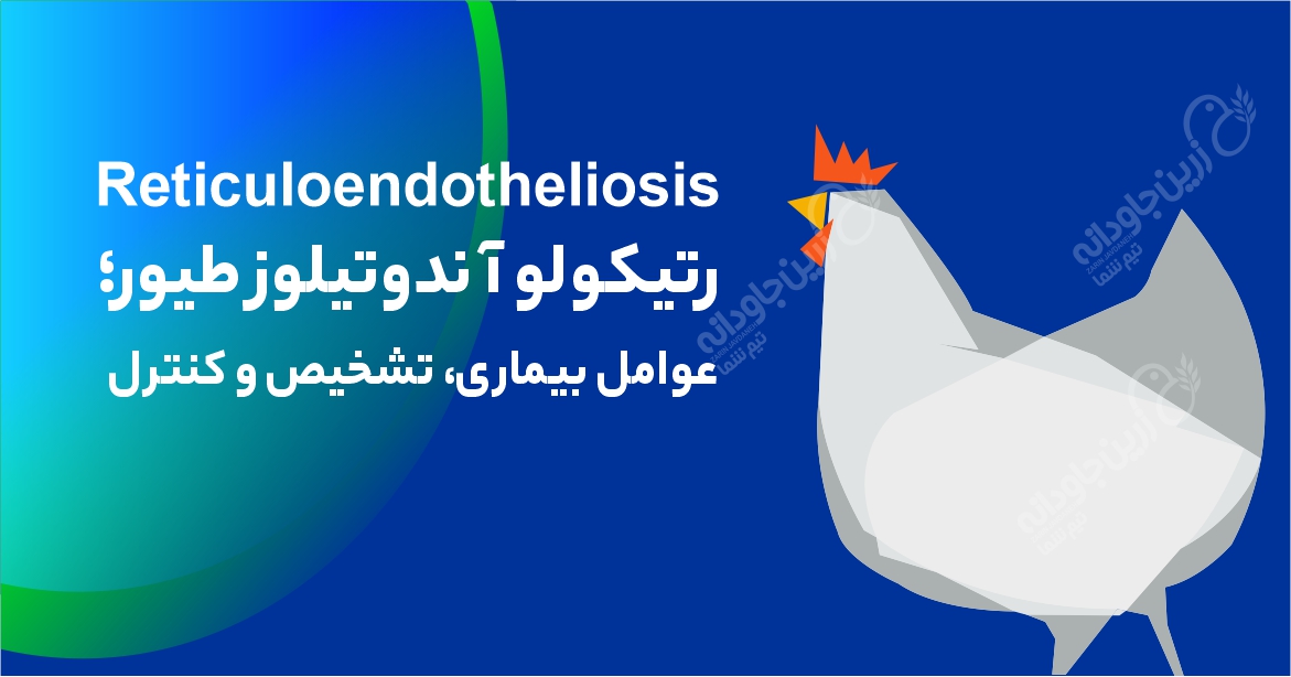 رتیکولو آندوتیلوز