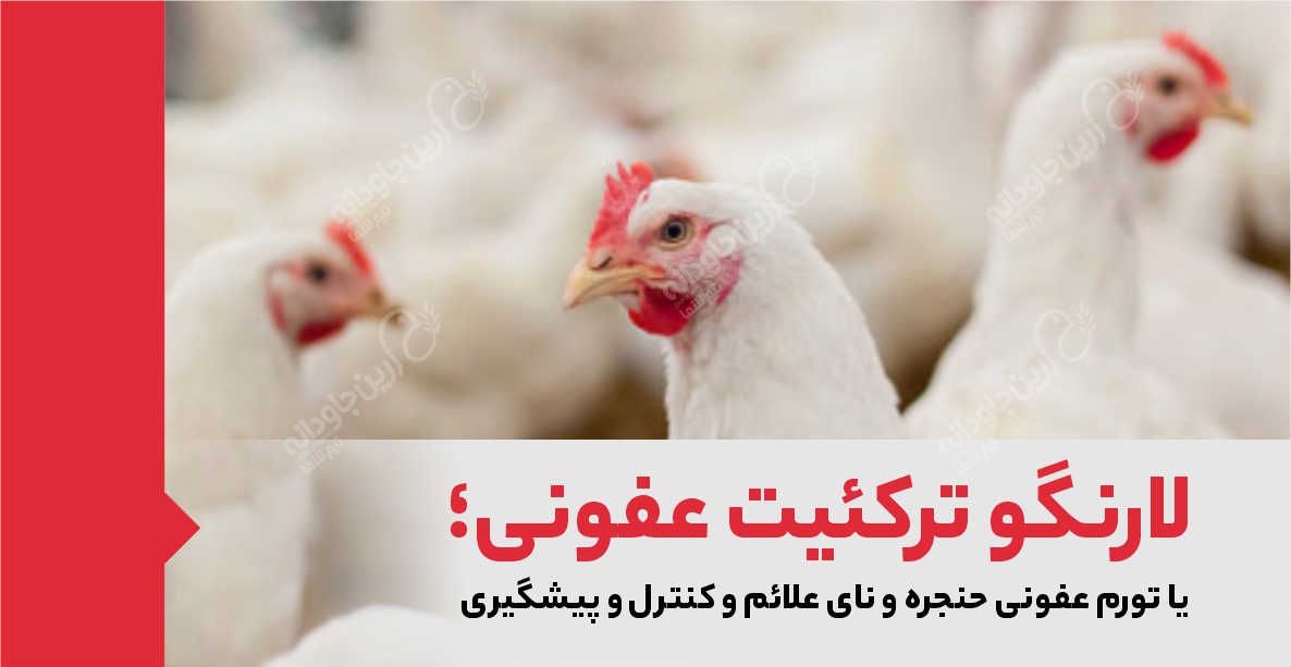لارنگو ترکئیت عفونی