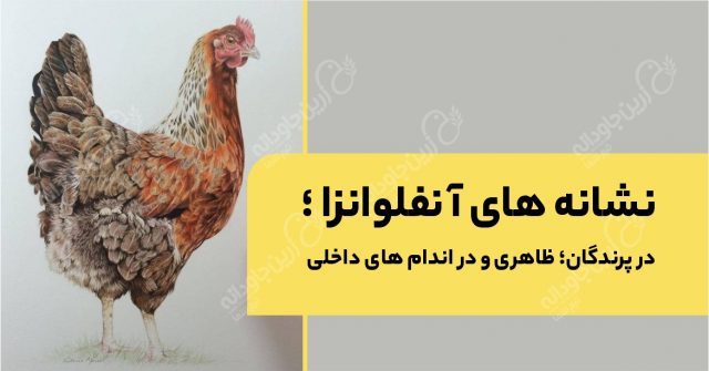 نشانه های آنفلوانزا