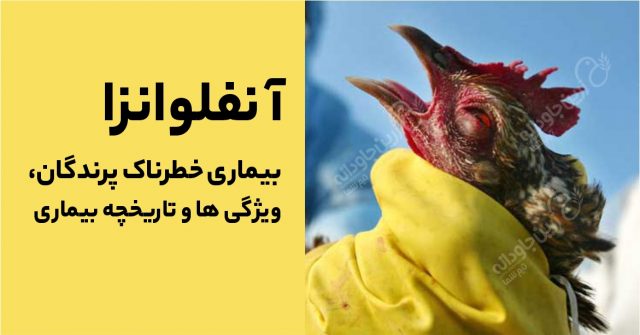 آنفلوانزا
