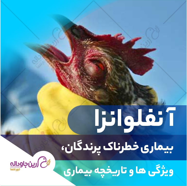 آنفلوانزا