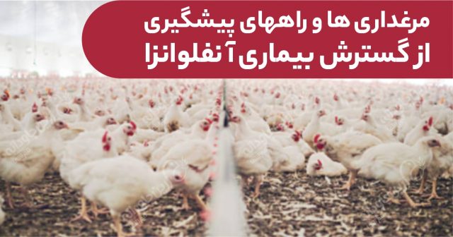 مرغداری ها