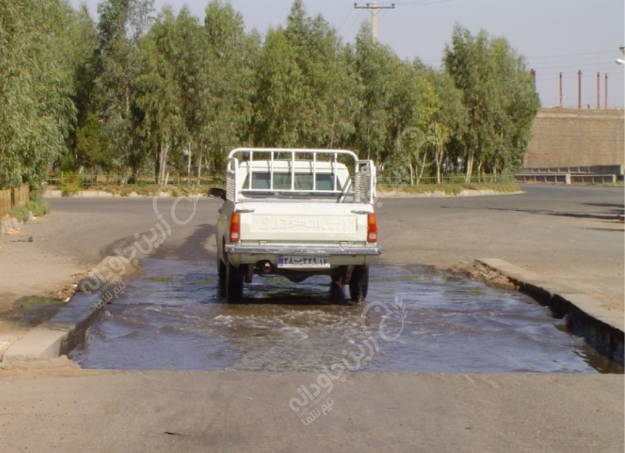 مرغداری