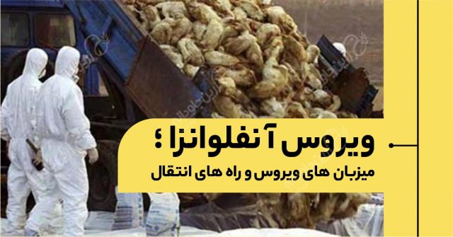 ویروس آنفلونزا