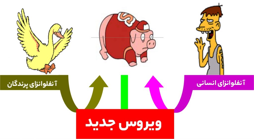ویروس جدید آنفلوانزا